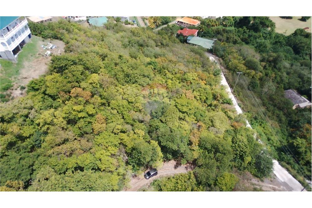 Commercial - Land - Prospect, St Vincent, St Vincent and the Grenadines - Caribbean & Central Ameri - 12 - 90109004-64