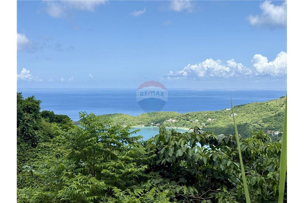 Grondstuk - Te Koop - Brewers bay, Tortola North Central, British Virgin Islands - 5 - 90134005-318