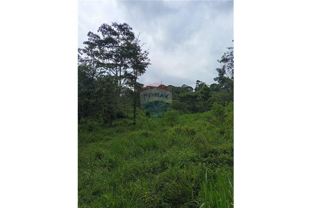 Lote - Venta - Puntarenas, Puntarenas - Puntarenas, Costa Rica - 6 - 902211014-15