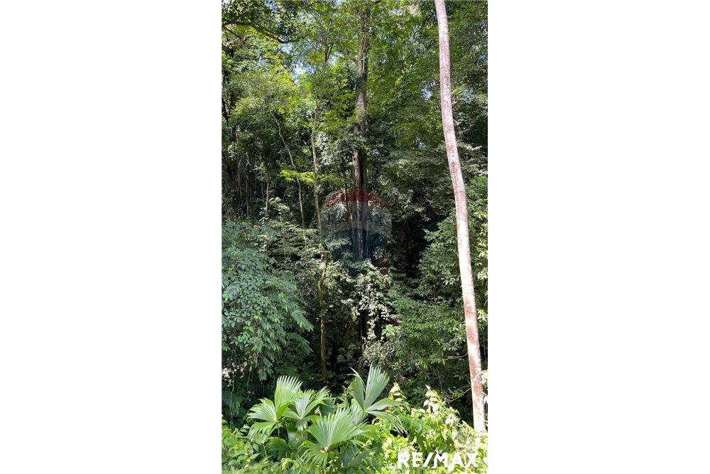 商业 - 土地 - Puntarenas, Puntarenas - Puntarenas, 哥斯达黎加 - Caribbean & Central Ameri - 5 - 90168045-15