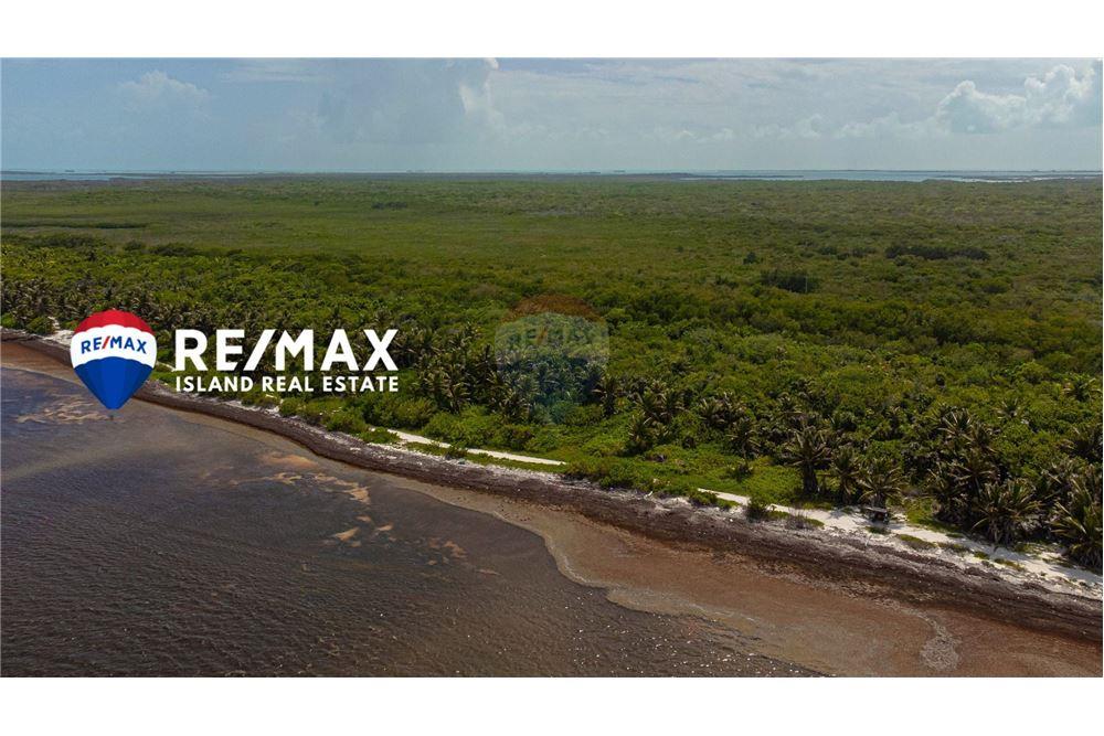 Commercial - Land - Ambergris Caye, Ambergris Caye, Belize - Caribbean & Central Ameri - 9 - 90135015-93