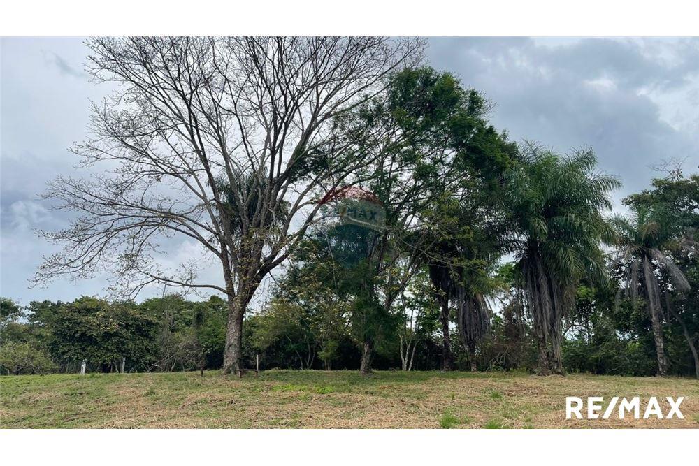 Commercio - Terreno - Puntarenas, Puntarenas - Puntarenas, Costa Rica - Caribbean & Central Ameri - 8 - 90168045-6