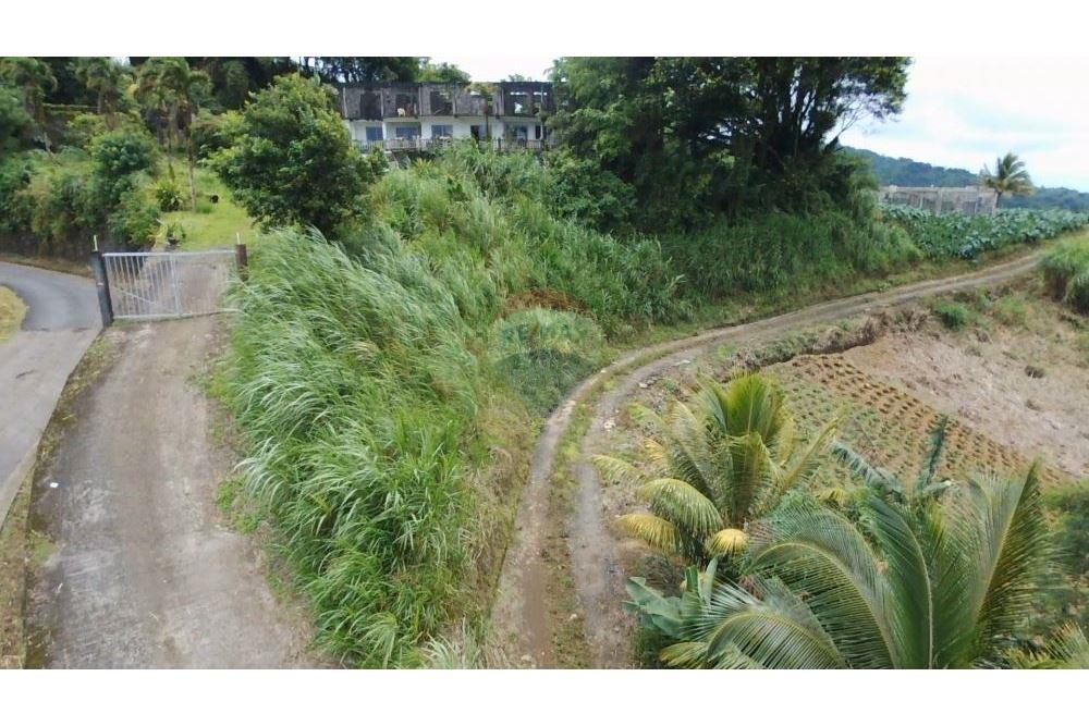 Commercial - Land - Mesopotamia, St Vincent, St Vincent and the Grenadines - Caribbean & Central Ameri - 1 - 90109001-324