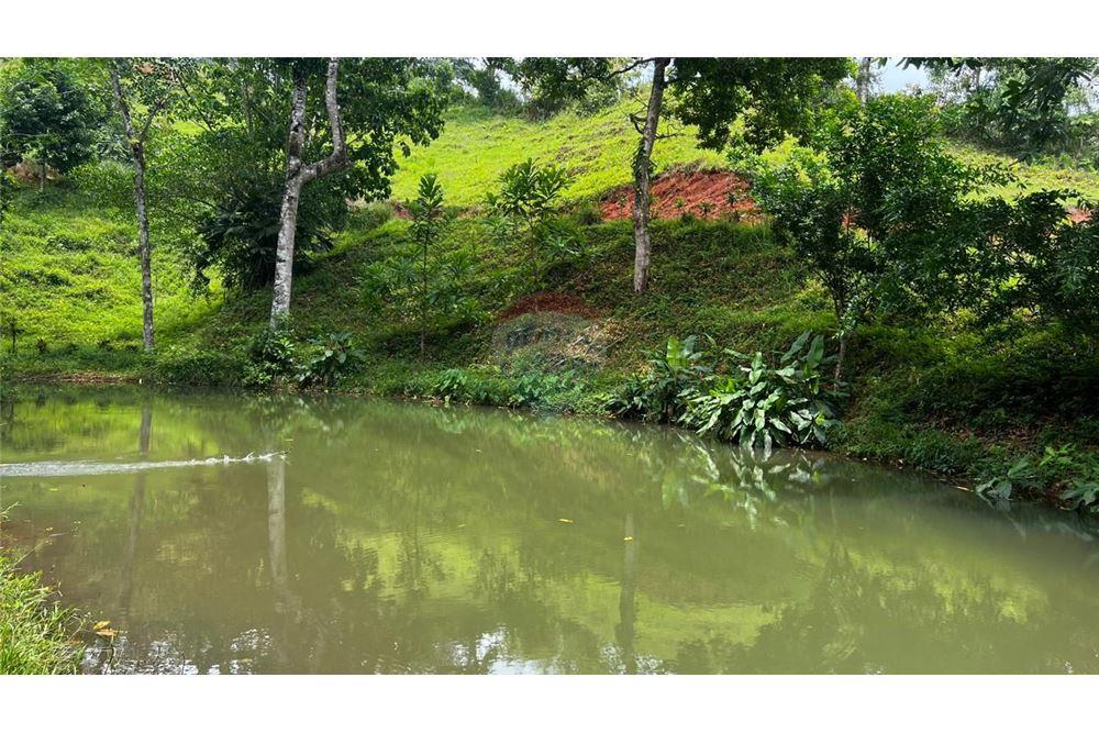 Commercial - Land - Bijagual, Puntarenas, Costa Rica - Caribbean & Central Ameri - 1 - 90168042-14