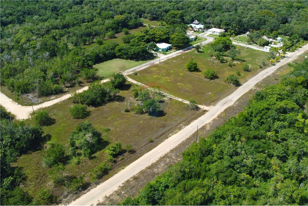 Surface commerciale - Autre terrain - Consejo, Corozal District, Belize - Caribbean & Central Ameri - 8 - 901411007-87