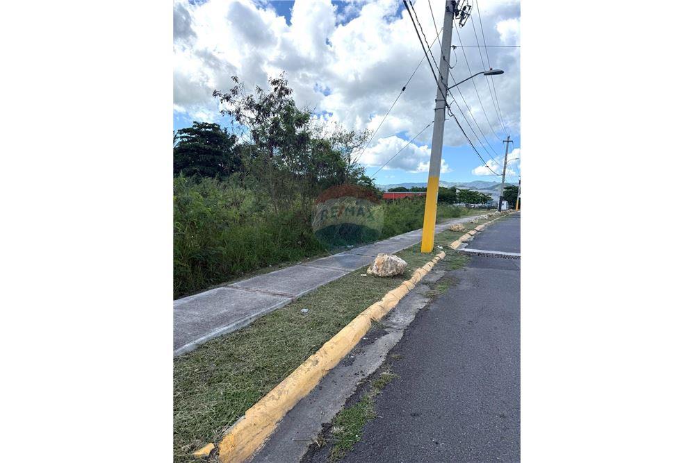 Land - For Sale - Yauco, Yauco, Puerto Rico - 5 - 90102025-332