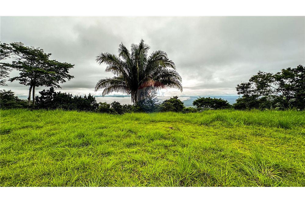 Commercial - Land - Jaco - Jaco, Puntarenas- Garabito, Costa Rica - Caribbean & Central Ameri - 8 - 90168016-216