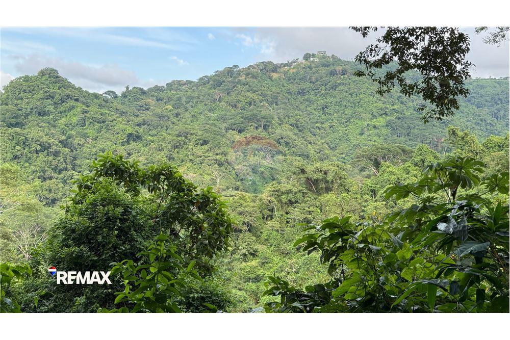 商业 - 土地 - Puntarenas, Puntarenas - Puntarenas, 哥斯达黎加 - Caribbean & Central Ameri - 4 - 90168041-27