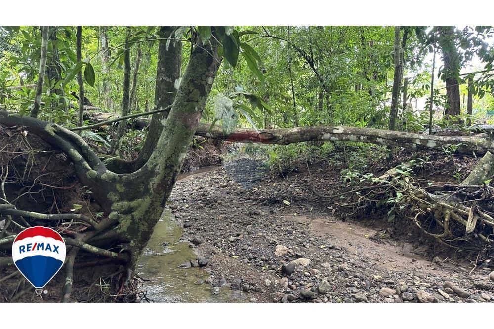 Commercio - Terreno - San José, San José, Costa Rica - Caribbean & Central Ameri - 9 - 90168030-67