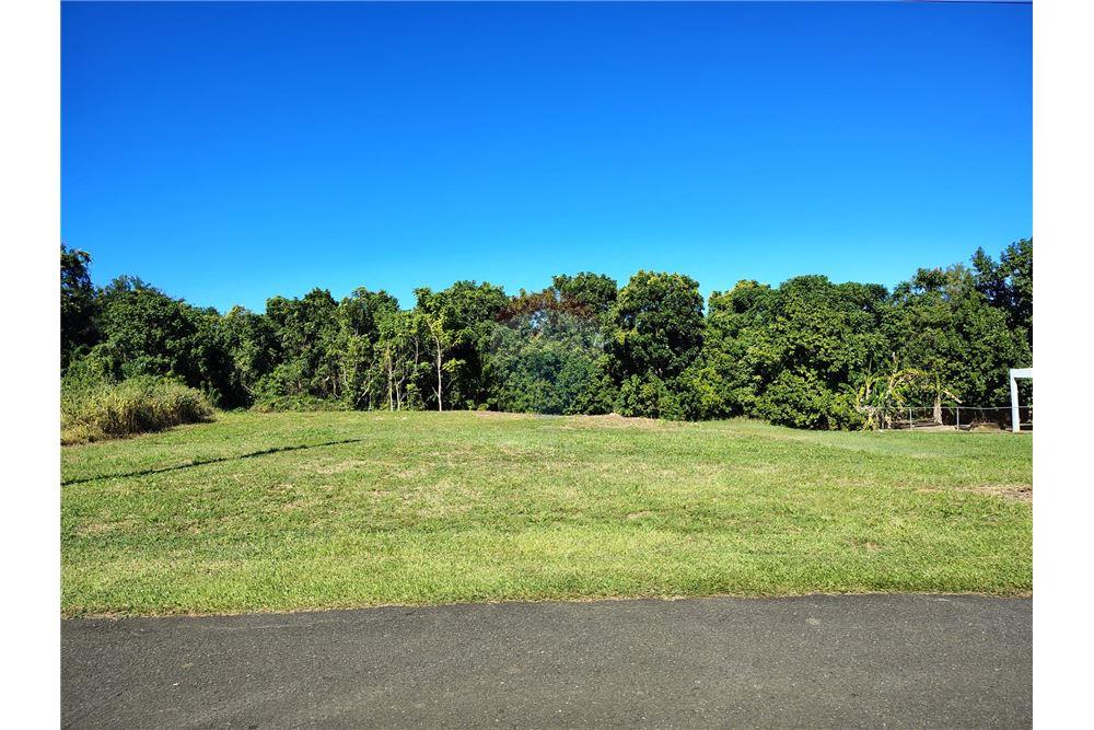 Commercial - Land - Parc Garrochales, Barceloneta, Puerto Rico - Caribbean & Central Ameri - 1 - 902461013-12