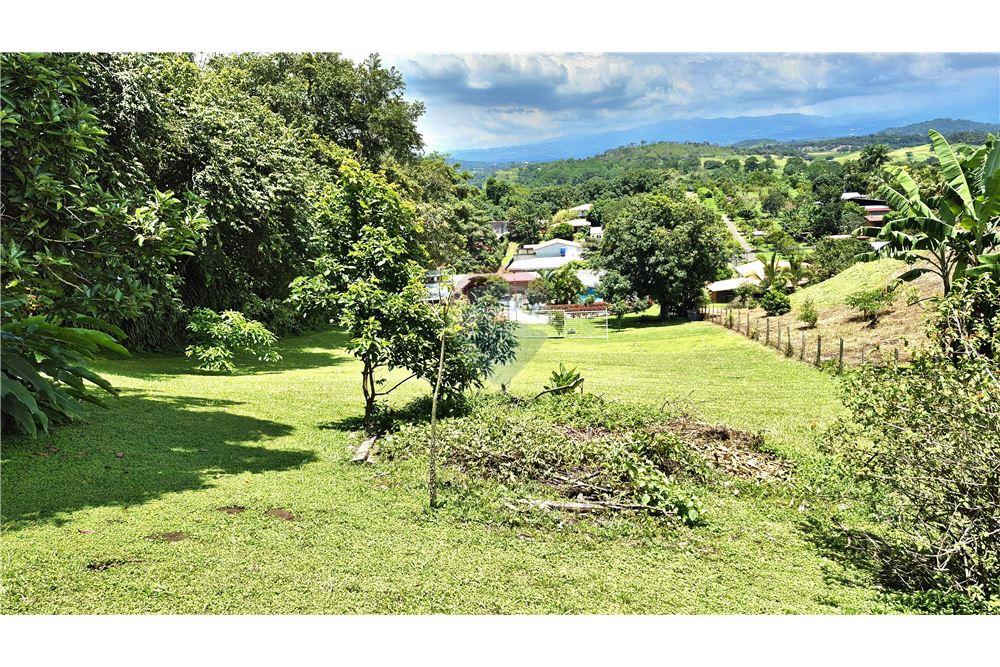 Commercial - Land - Atenas, Alajuela- Atenas, Costa Rica - Caribbean & Central Ameri - 4 - 90128007-187