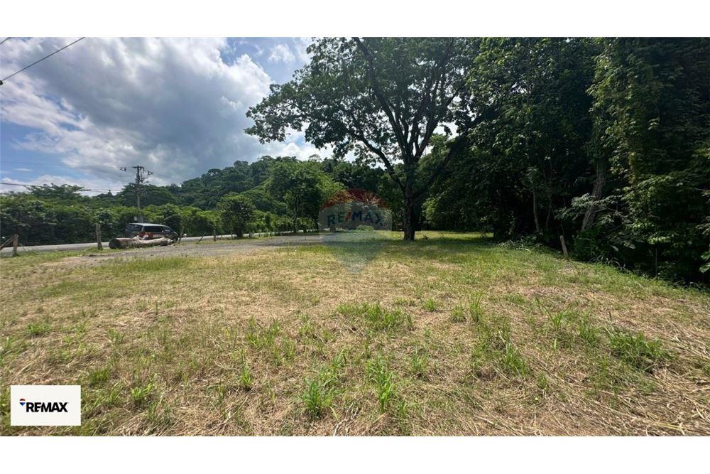 Commercio - Terreno - Puntarenas, Puntarenas - Puntarenas, Costa Rica - Caribbean & Central Ameri - 11 - 90168030-53