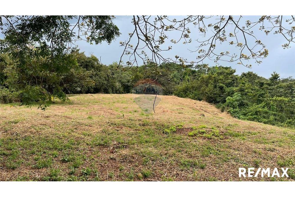 Commercio - Terreno - Puntarenas, Puntarenas - Puntarenas, Costa Rica - Caribbean & Central Ameri - 1 - 90168045-6