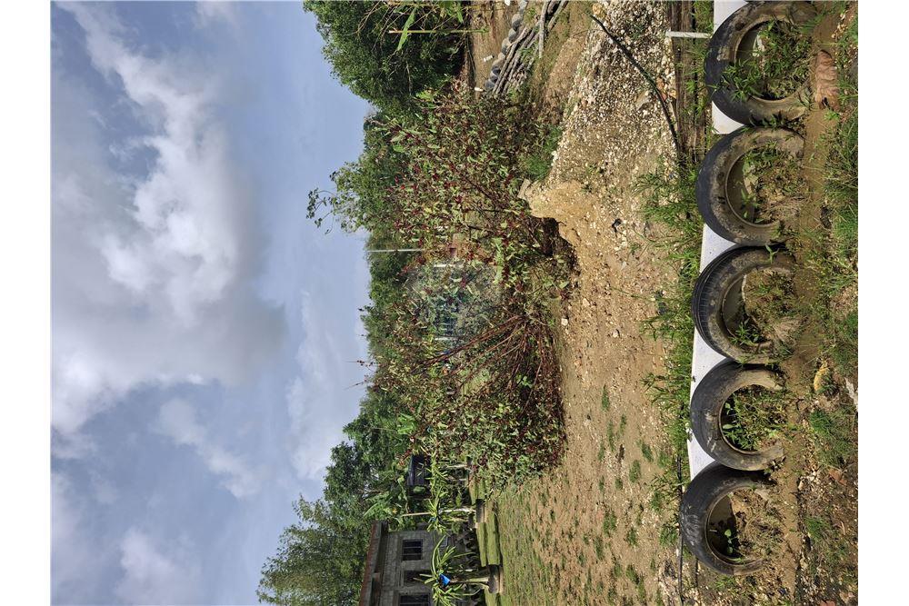 Grondstuk - Te Koop - Sangre Chiquita, Saint Andrew, Trinidad and Tobago - 1 - 90155092-77