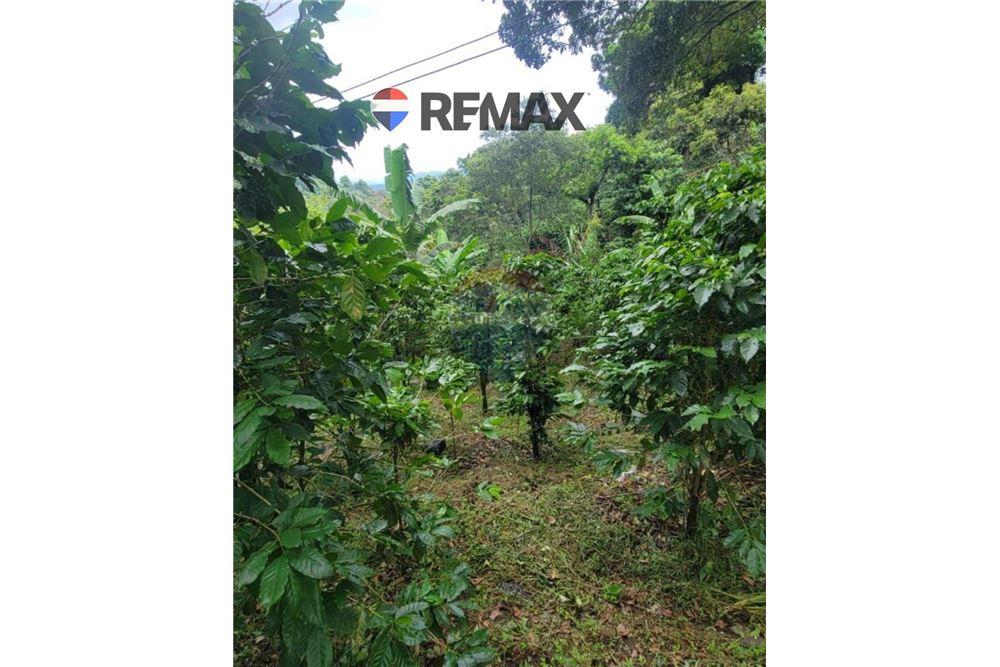 Land - For Sale - San Martin, San Salvador, El Salvador - 2 - 902501008-21