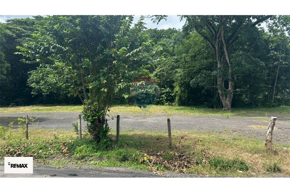 Commercio - Terreno - Puntarenas, Puntarenas - Puntarenas, Costa Rica - Caribbean & Central Ameri - 24 - 90168030-53