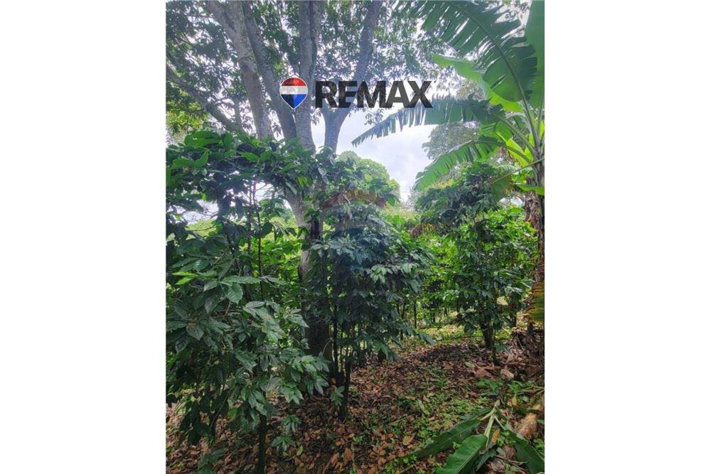 Land - For Sale - San Martin, San Salvador, El Salvador - 6 - 902501008-21