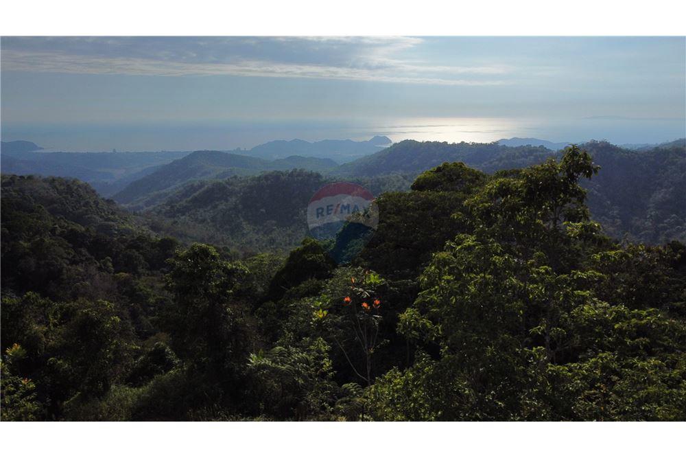 Surface commerciale - Autre terrain - San José, San José, Costa Rica - Caribbean & Central Ameri - 2 - 90168030-68