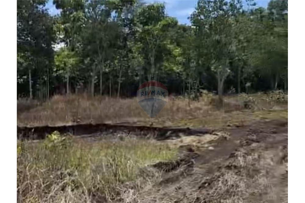 Lote - Venta - San Francisco, Petén, Guatemala - 10 - 902691018-25