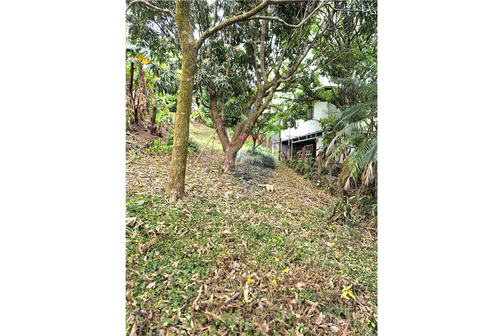 Residential - Villa - Atenas, Alajuela- Atenas, Costa Rica - Caribbean & Central Ameri - 16 - 90128007-171