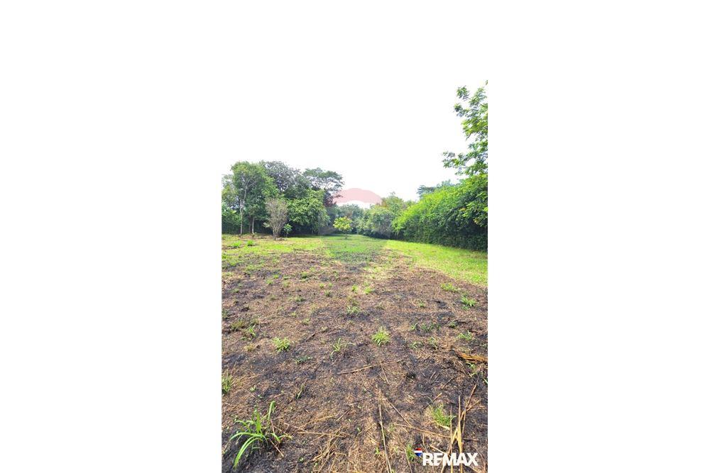 Commercial - Land - Jaco - Playa Hermosa, Puntarenas- Garabito, Costa Rica - Caribbean & Central Ameri - 20 - 90168005-700