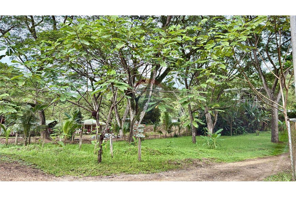 Commercial - Land - Jaco - Jaco, Puntarenas- Garabito, Costa Rica - Caribbean & Central Ameri - 12 - 90168015-205