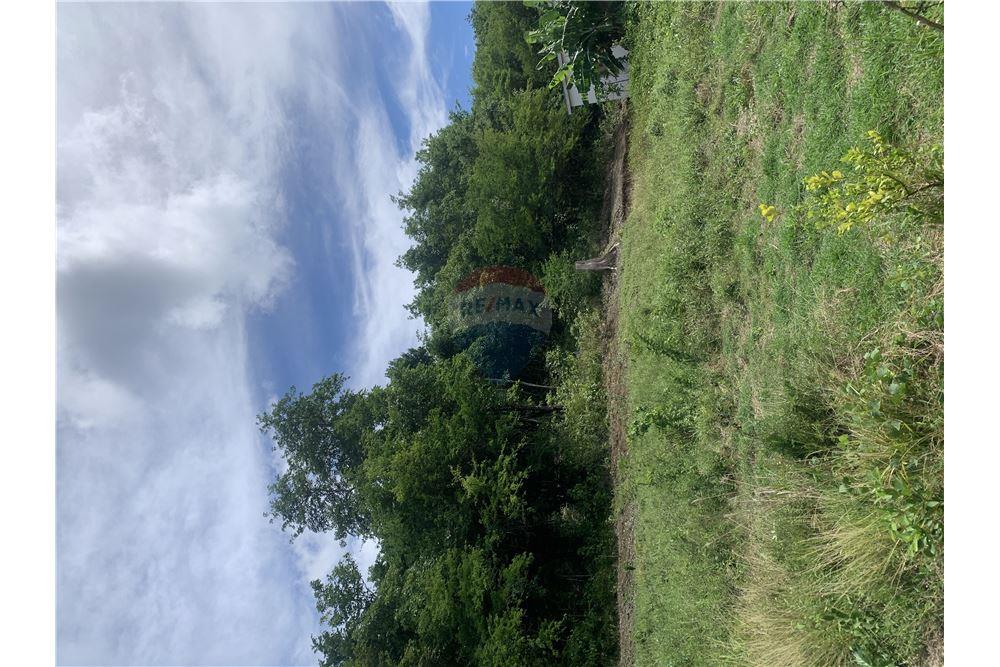 Commercial - Land - Gros Islet, Gros-Islet, St Lucia - Caribbean & Central Ameri - 11 - 902071001-212