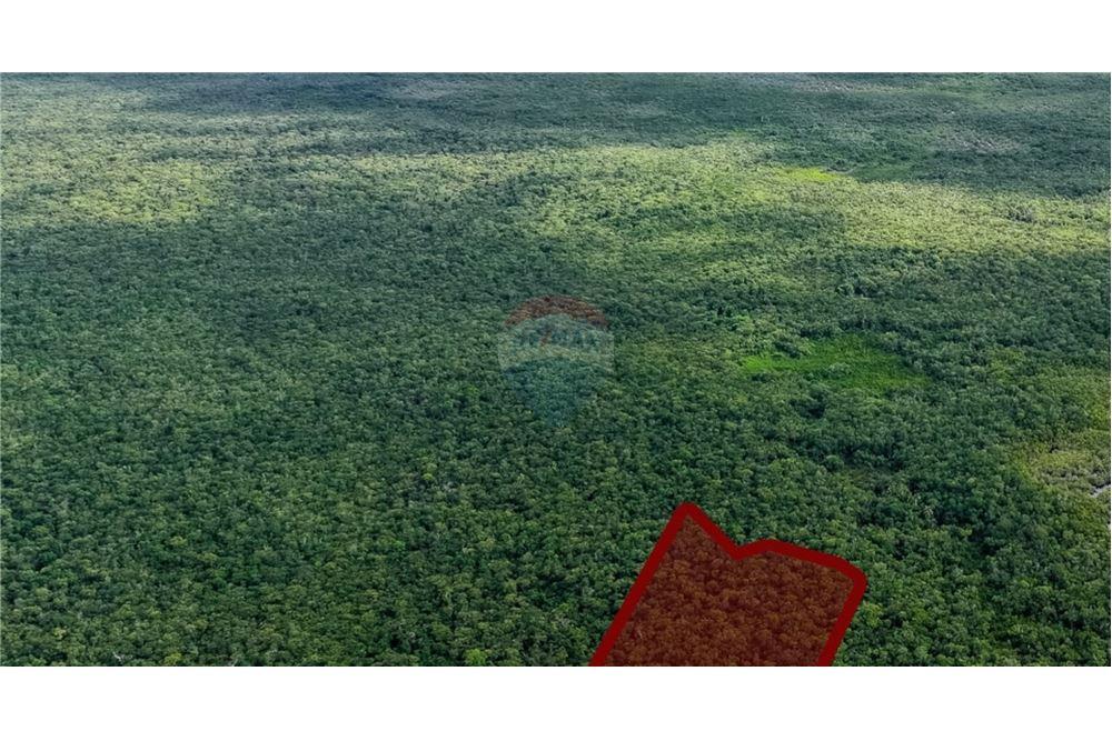 Lote - Venta - North Side, Grand Cayman, Islas Caimán - 3 - 90146046-10