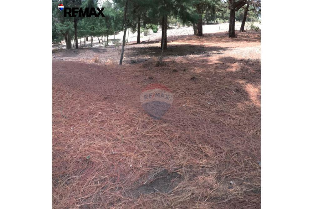 Land - For Sale - Santa Catarina Pinula, Guatemala, Guatemala - 3 - 902611001-88