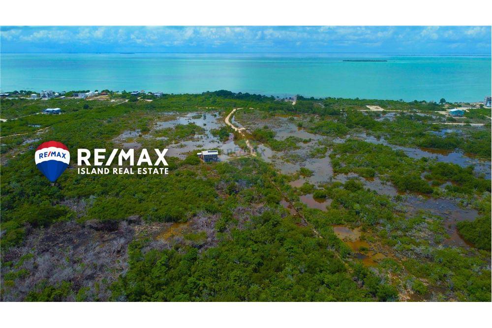 Commercial - Land - Ambergris Caye, Ambergris Caye, Belize - Caribbean & Central Ameri - 1 - 90135024-4