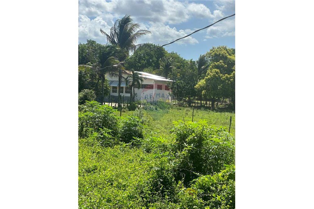 Land - For Sale - Santa Cruz, Saint Elizabeth, Jamaica - 3 - 901321002-8