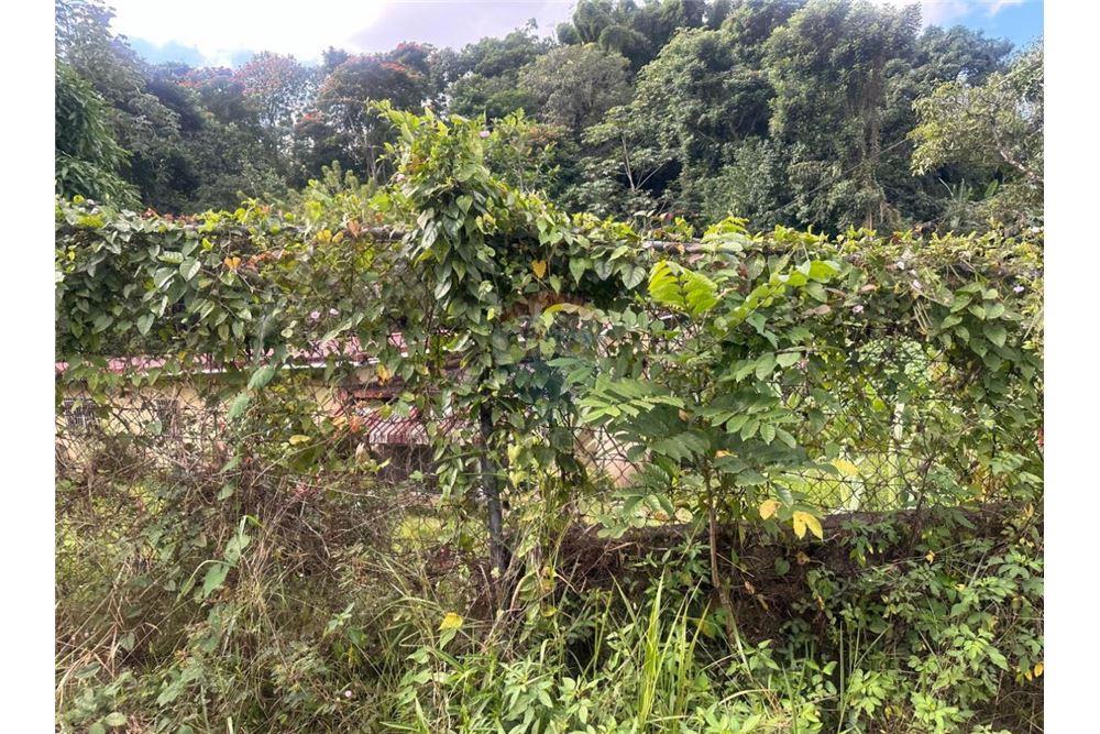 Land - For Sale - Golden Spring, Saint Andrew, Jamaica - 4 - 90153036-91