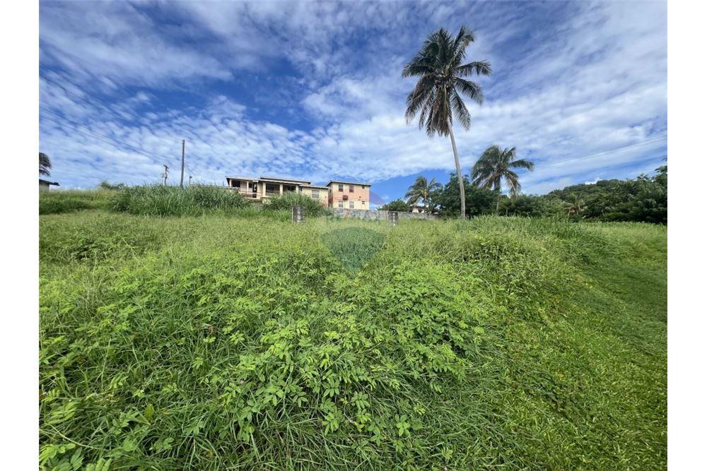 Commercial - Land - Prospect, St Vincent, St Vincent and the Grenadines - Caribbean & Central Ameri - 1 - 90109001-325