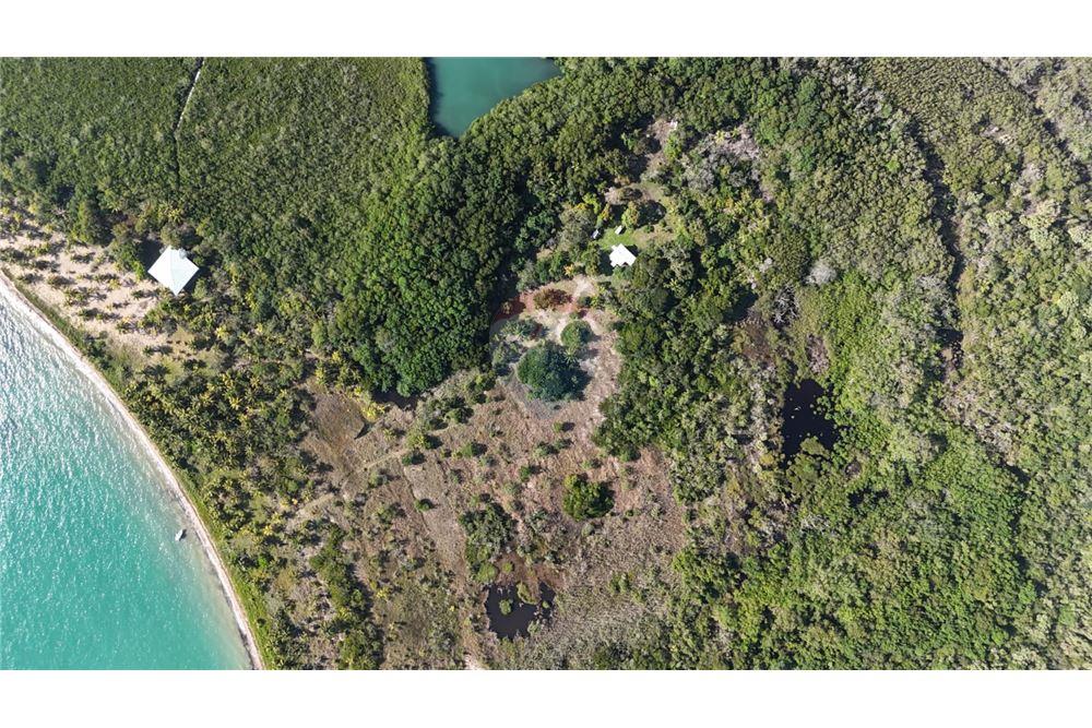 Commercial - Land - Monkey River, Toledo District, Belize - Caribbean & Central Ameri - 8 - 90127016-269