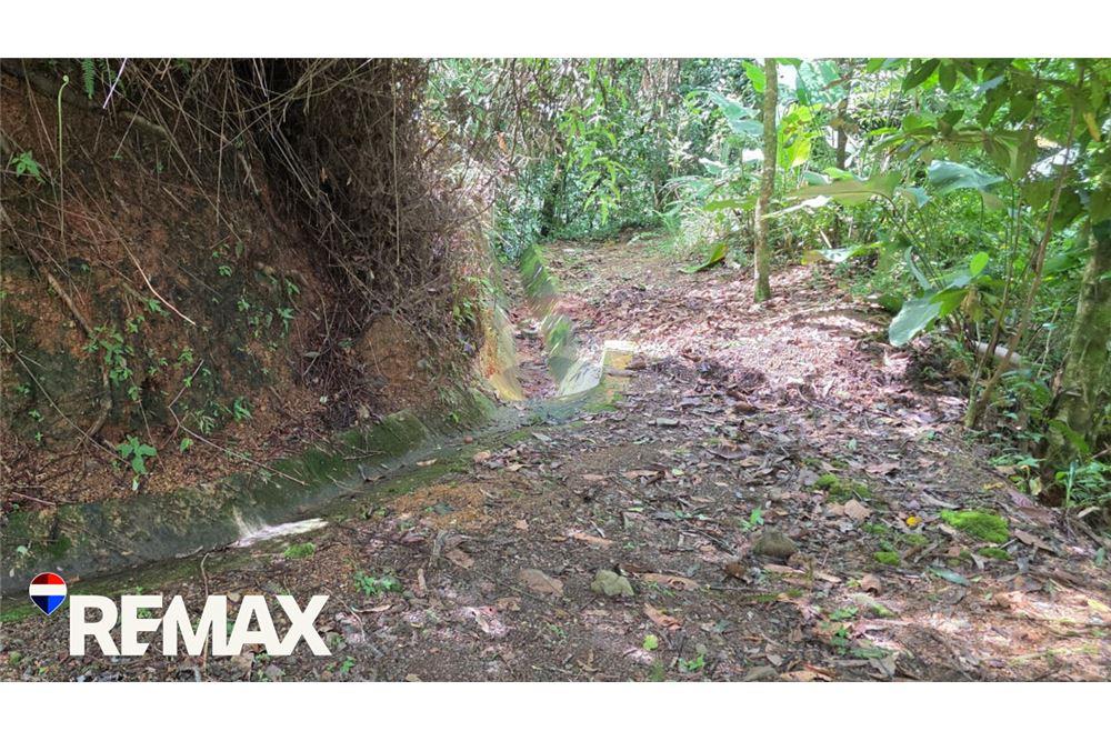 商业 - 土地 - San José, San José, 哥斯达黎加 - Caribbean & Central Ameri - 12 - 90168013-174