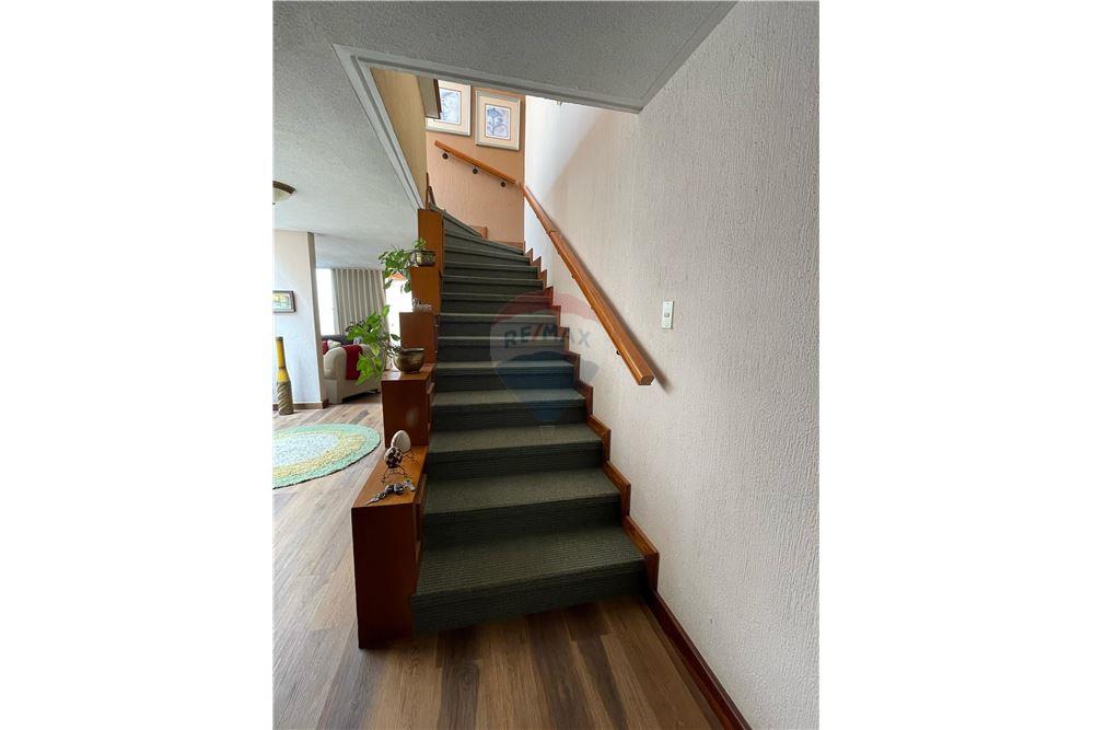 Villa - Venta - Zona 15, Guatemala, Guatemala - 4 - 902091021-9