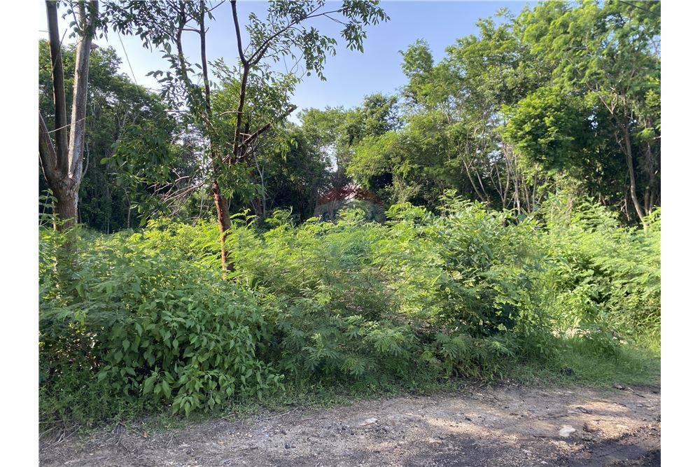 Commercial - Land - Corozal Town, Corozal District, Belize - Caribbean & Central Ameri - 4 - 901411007-96