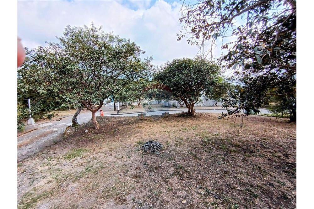 Land - For Sale - Alotenango, Sacatepéquez, Guatemala - 3 - 90129016-21