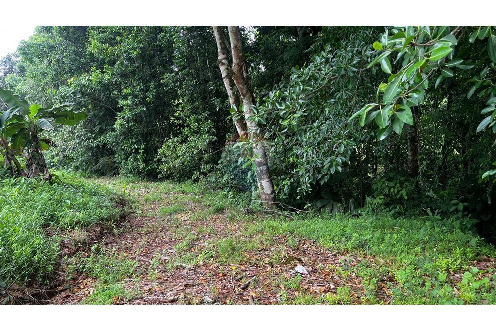 Commercial - Land - Bijagual, Puntarenas, Costa Rica - Caribbean & Central Ameri - 20 - 90168042-14