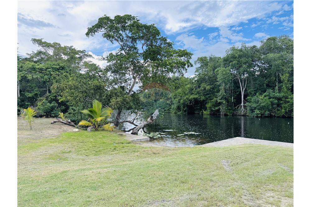Commercial - Land - Libertad, Corozal District, Belize - Caribbean & Central Ameri - 14 - 901411007-98
