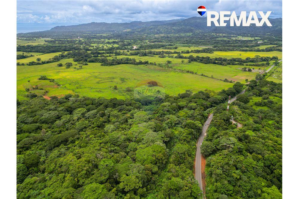 Commercial - Land - Parrita - Esterillos, Puntarenas - Parrita, Costa Rica - Caribbean & Central Ameri - 4 - 90168003-466