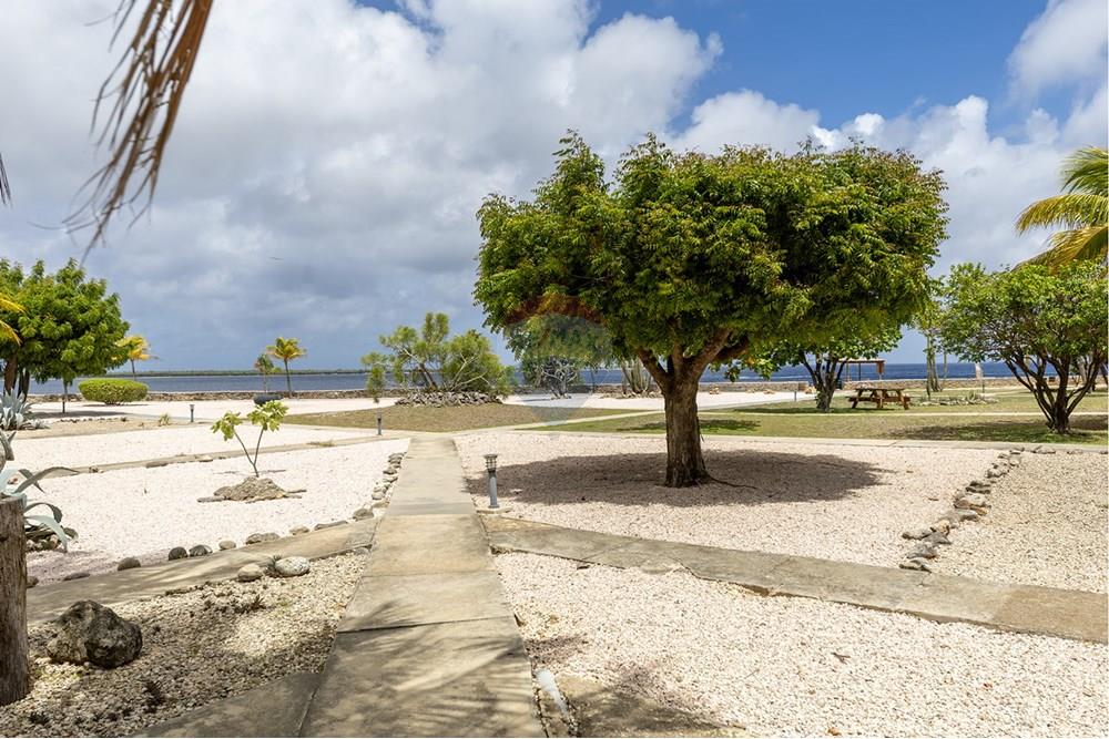 Condo/Apartment - For Sale - Hato, Bonaire, Bonaire - SDM_Photography_Remax_SandDollarC9-14.jpg - 900171016-13
