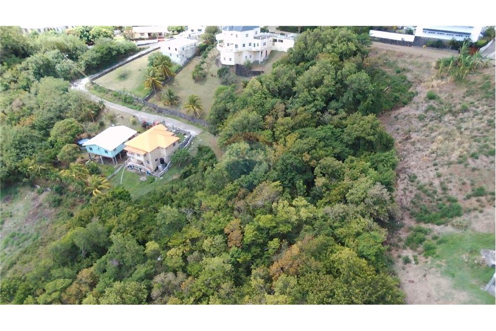 Commercial - Land - Prospect, St Vincent, St Vincent and the Grenadines - Caribbean & Central Ameri - 6 - 90109004-64