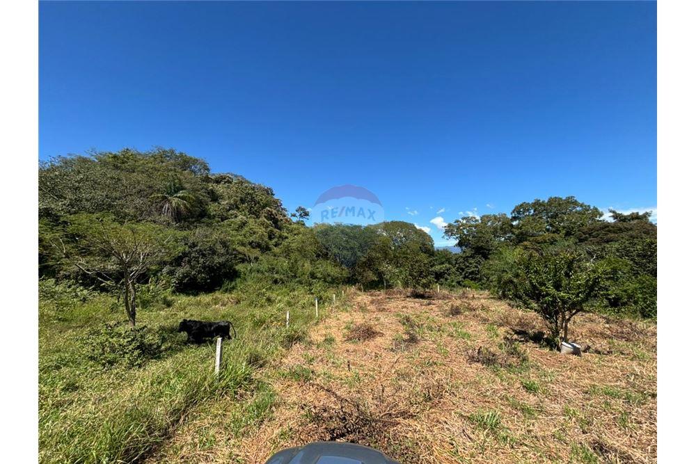 Comercial - Terreno - Atenas, Alajuela- Atenas, Costa Rica - Caribbean & Central Ameri - 25 - 90128002-998