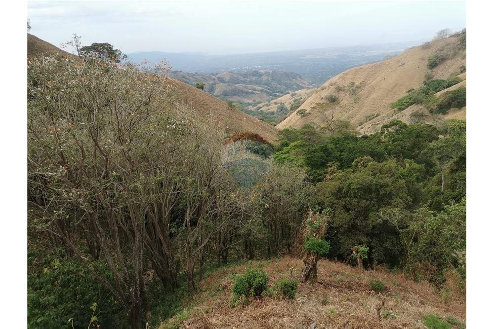 Commercial - Land - Atenas, Alajuela- Atenas, Costa Rica - Caribbean & Central Ameri - 3 - 90128007-170