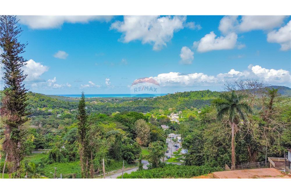 Residential - Villa - Rio Grande, Rio Grande, Puerto Rico - Caribbean & Central Ameri - 5 - 902461001-89