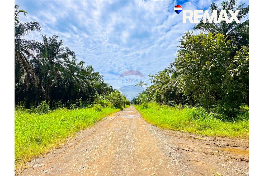 商业 - 土地 - Parrita - Esterillos, Puntarenas - Parrita, 哥斯达黎加 - Caribbean & Central Ameri - 14 - 90168050-8