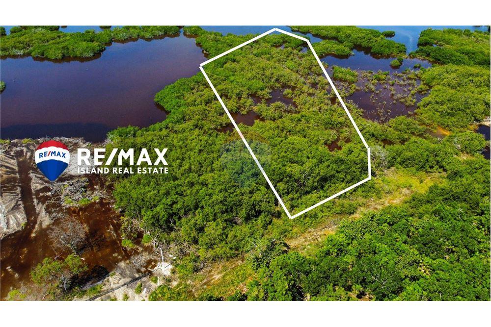 Commercial - Land - Ambergris Caye, Ambergris Caye, Belize - Caribbean & Central Ameri - 5 - 90135024-5