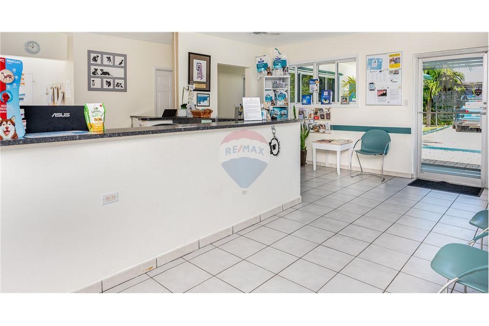 Commercial/Retail - For Sale - George Town, Grand Cayman, Cayman Islands - 8 - 90146001-235
