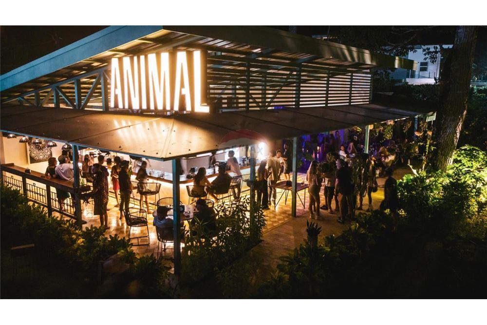 Commercial - Commercial/Retail - Jaco - Playa Hermosa, Puntarenas- Garabito, Costa Rica - Caribbean & Central Ameri - 9 - 90168024-55